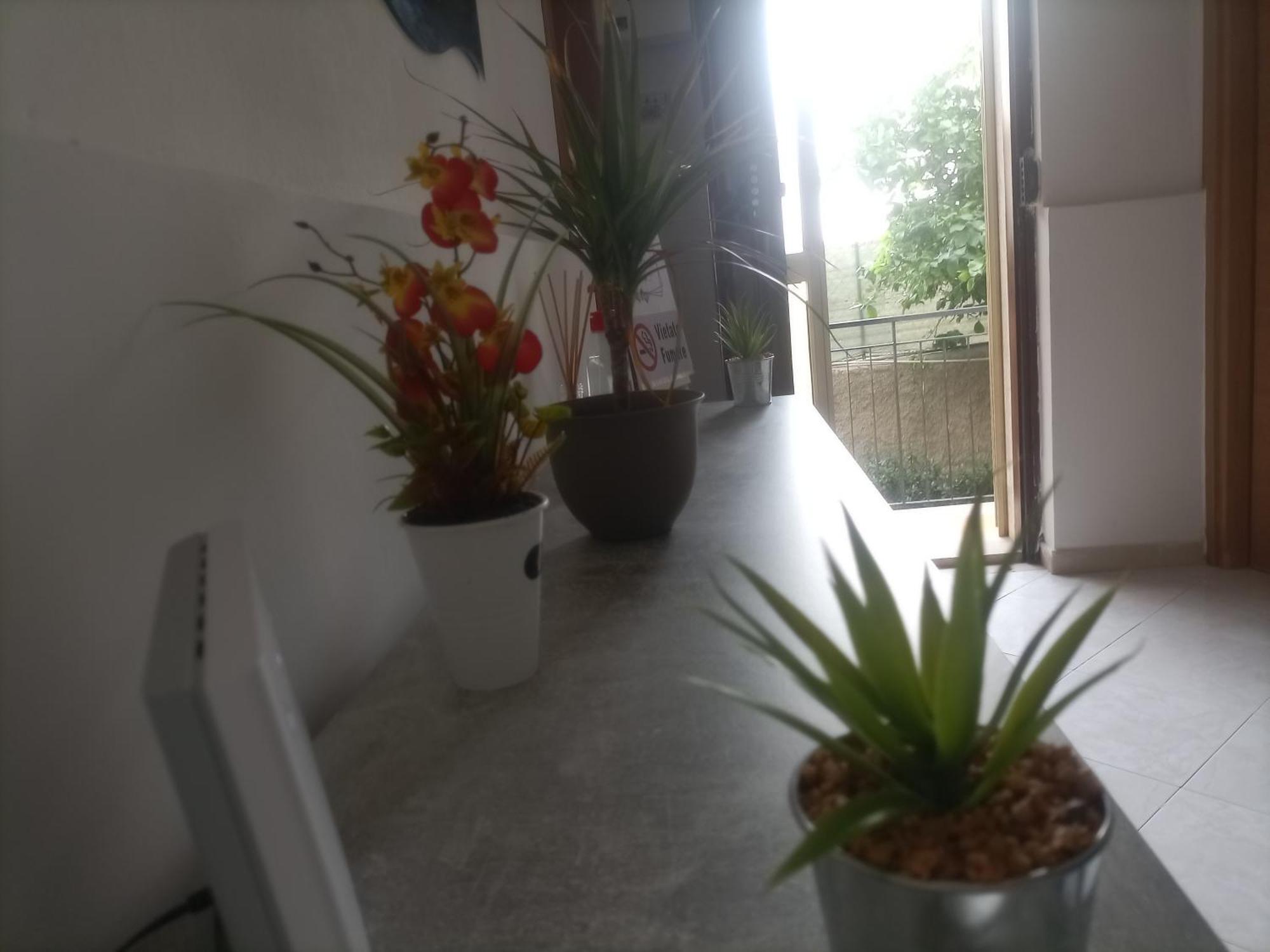 Casa Dalila Apartment Belvedere  Bagian luar foto